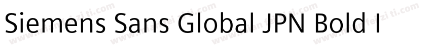 Siemens Sans Global JPN Bold Italic字体转换